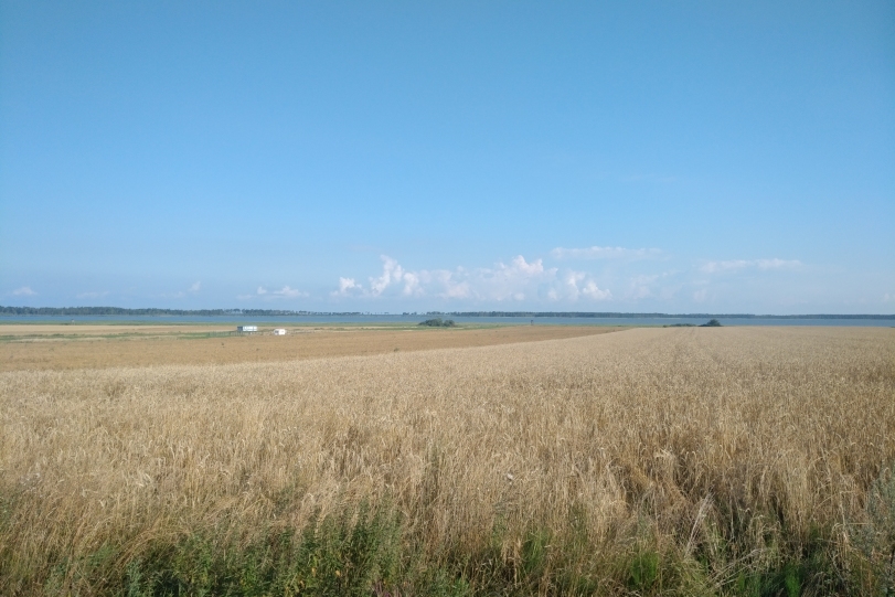 Widok na jezioro Kopań między Palczewicami a miejscowością Kopań