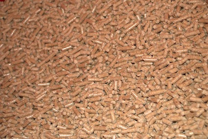 Czy pellet drzewny jest ekologiczny?